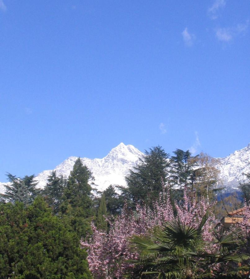 Hotel Zima ميرانو المظهر الخارجي الصورة